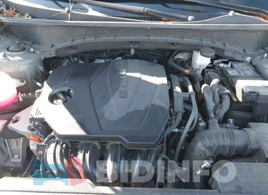5NMJBCDE6RH330079 Photo# 10