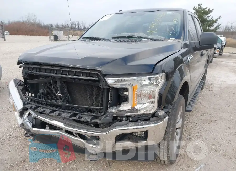 1FTEW1EP3JKF11238 Photo# 18
