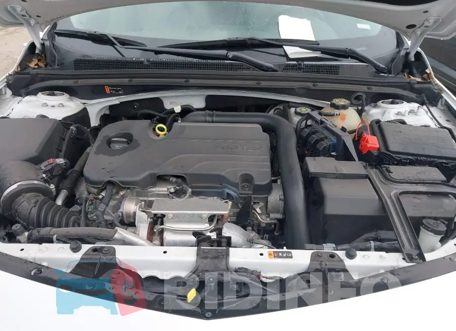1G1ZD5ST6NF117983 Photo# 10