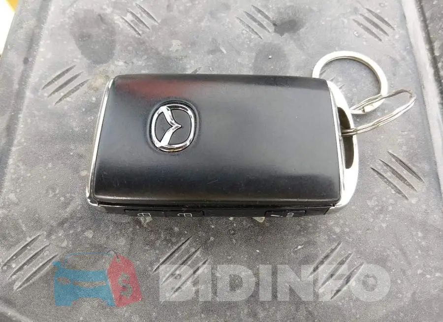 3MVDMBCL3MM221844 Photo# 11