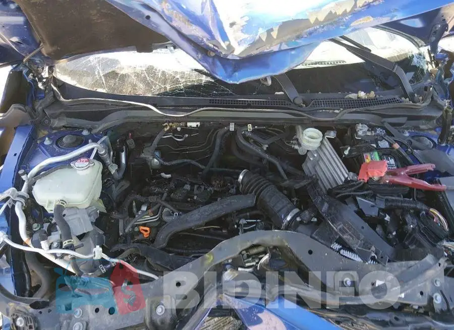 19XFC1F36LE016269 Photo# 10