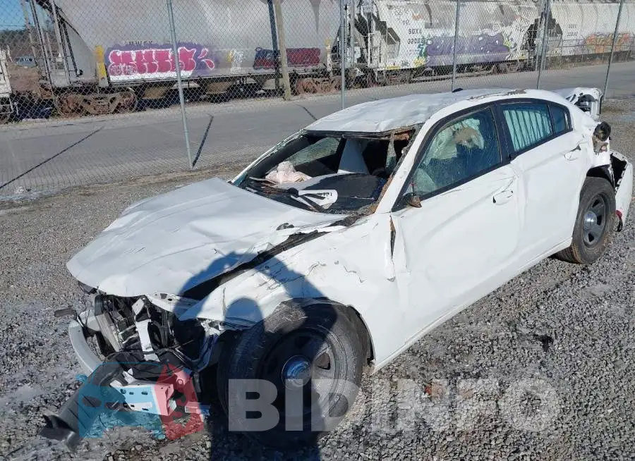 2C3CDXAT8PH551323 Photo# 6