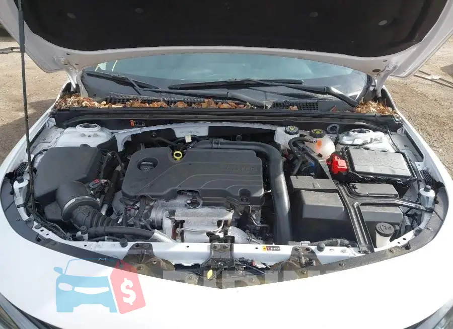 1G1ZD5ST6RF146969 Photo# 10