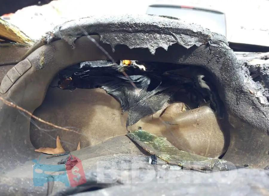 JN8AZ2NE4G9125586 Photo# 7