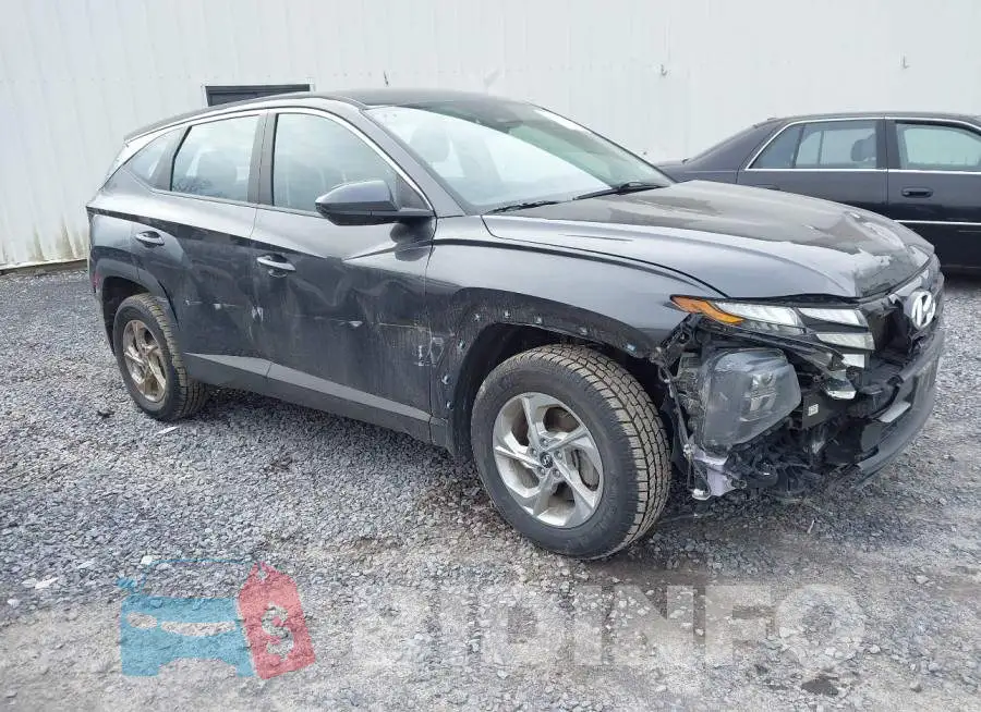 5NMJACDE3RH304445 Photo# 1