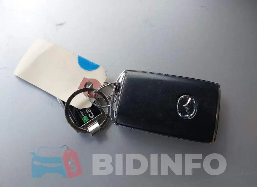 3MVDMBBL2MM248521 Photo# 11