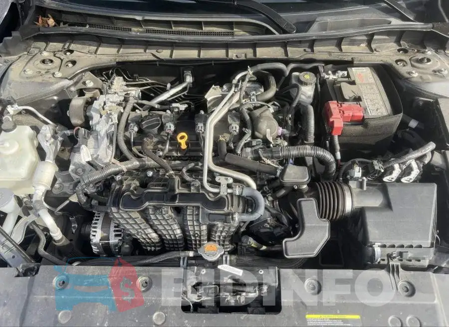 1N4BL4CV4PN404484 Photo# 10