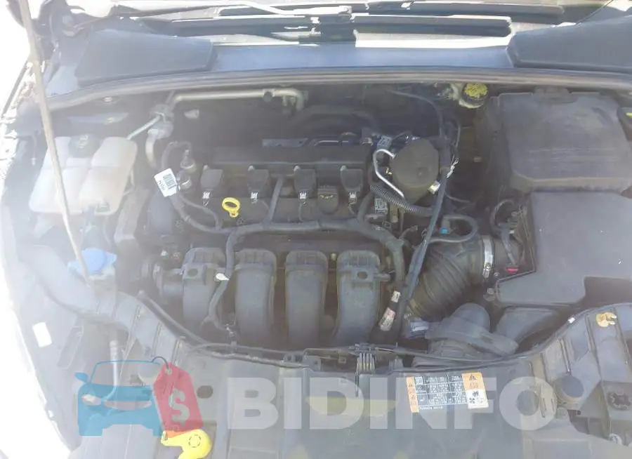 1FADP3F23GL201185 Photo# 10