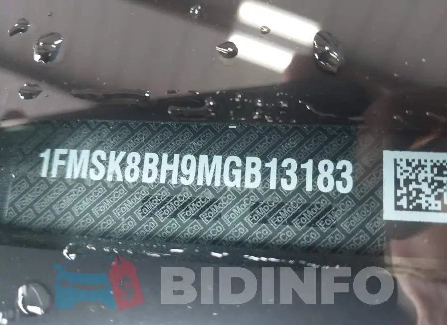 1FMSK8BH9MGB13183 Photo# 9
