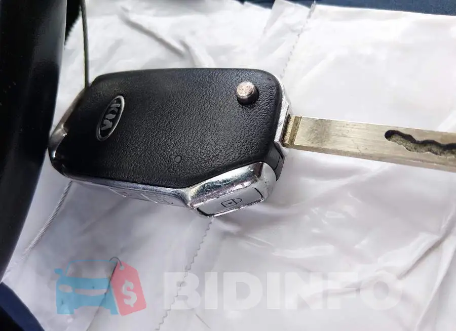 KNDEU2AA8M7115486 Photo# 11