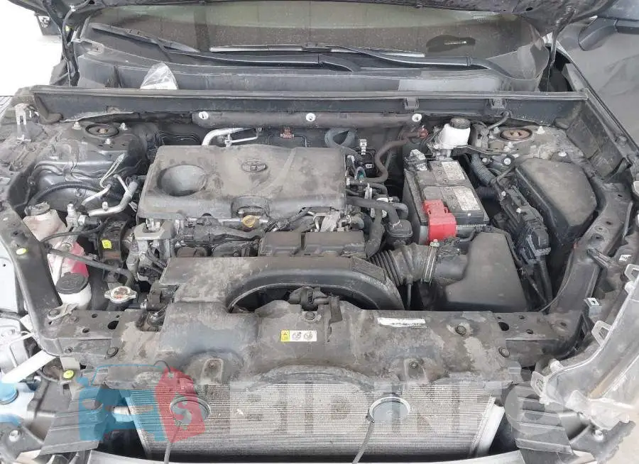 2T3G1RFV8KW045236 Photo# 10