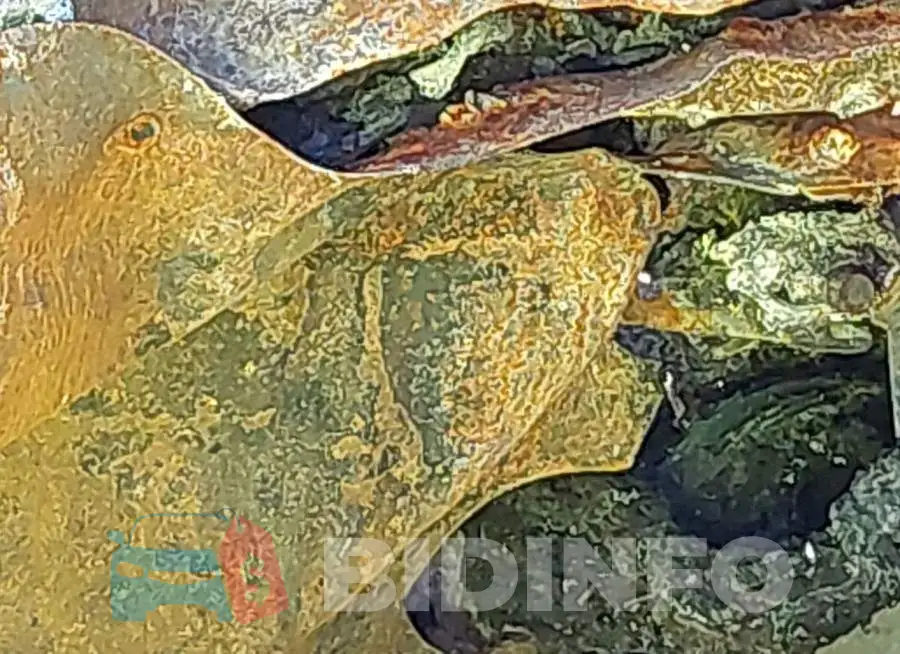 1C4RJGBG8RC170657 Photo# 14