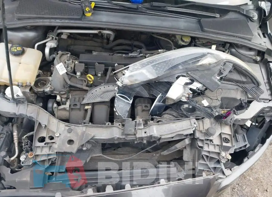 1FADP3F2XGL217917 Photo# 10