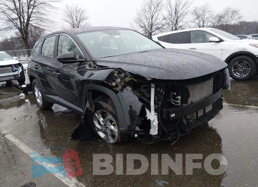 5NMJACDE0RH439141 Photo# 1