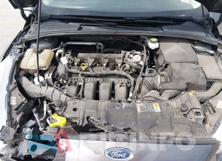 1FADP3F22JL312639 Photo# 10