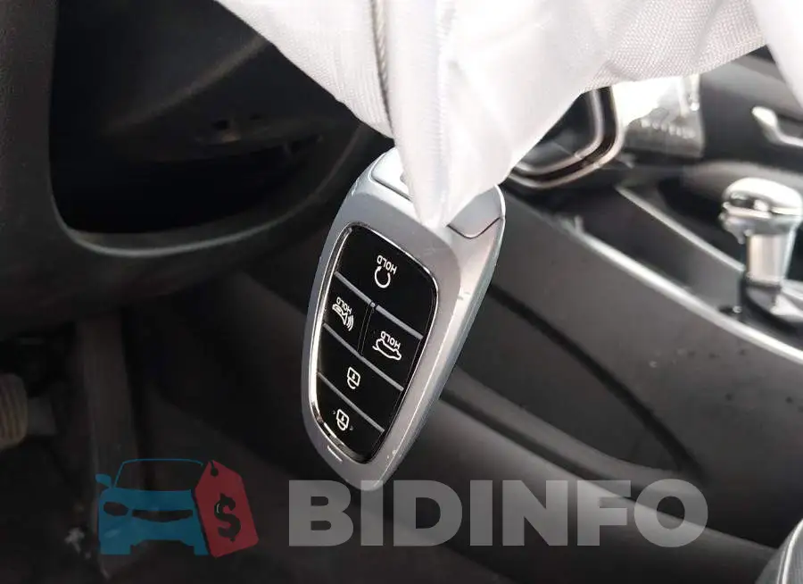 5NMJFCAE8PH184533 Photo# 11