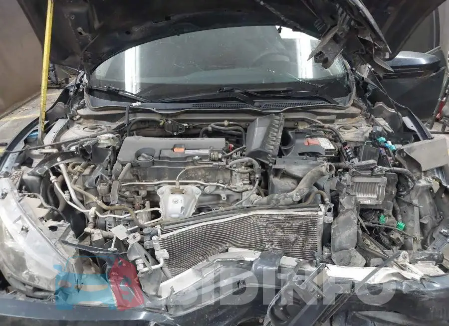 19XFC2F54GE239875 Photo# 10