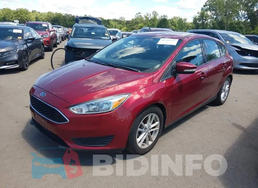 1FADP3K24GL213366 Photo# 2