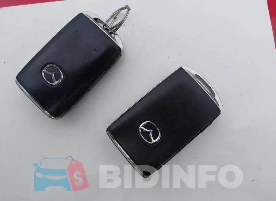 JM1BPBJY6N1504199 Photo# 11