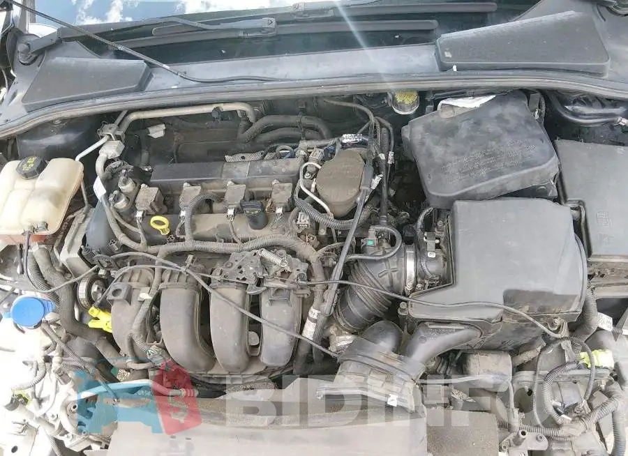 1FADP3K28GL309761 Photo# 10