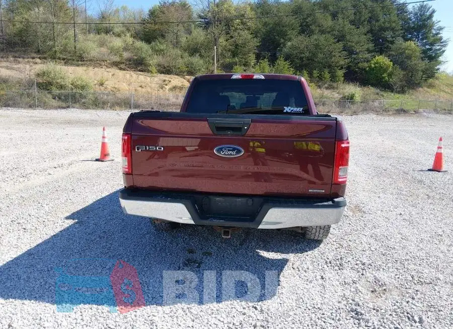 1FTEW1CP5GKF61084 Photo# 17