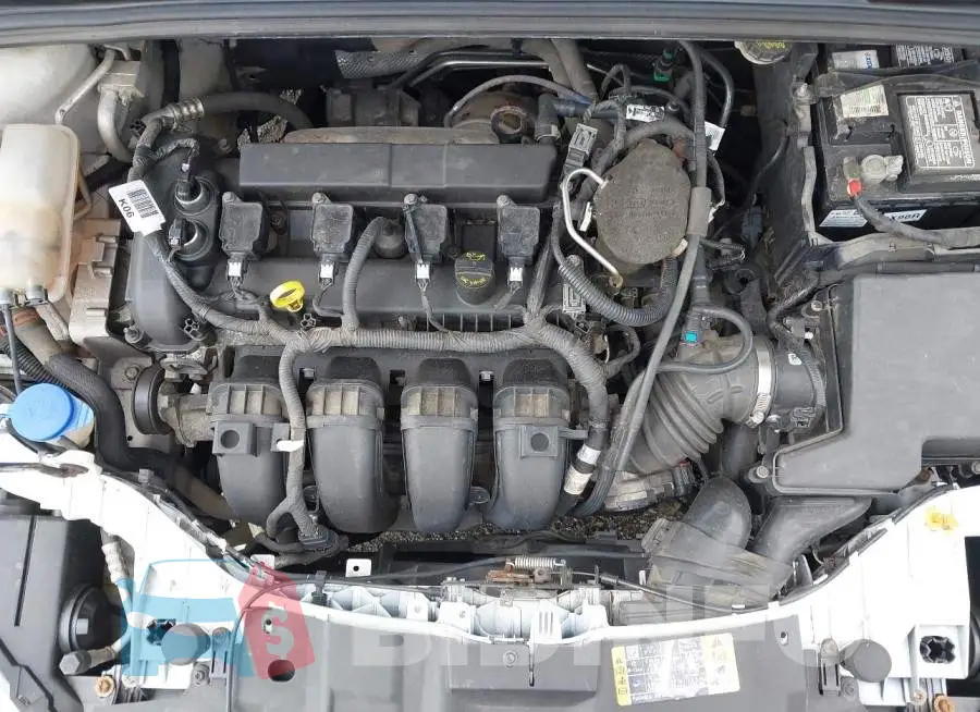 1FADP3E26GL248714 Photo# 10