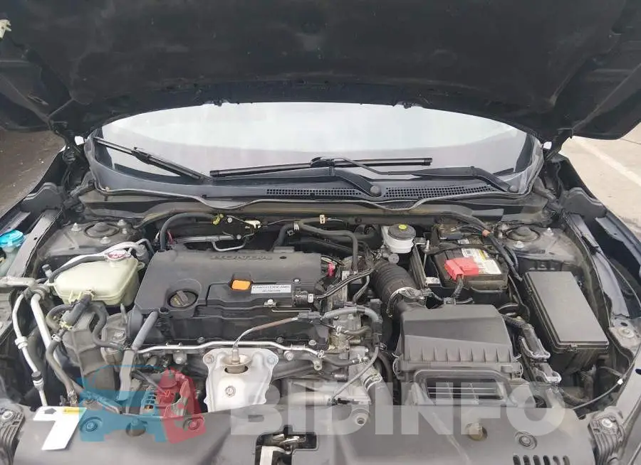 19XFC2F56GE076081 Photo# 10