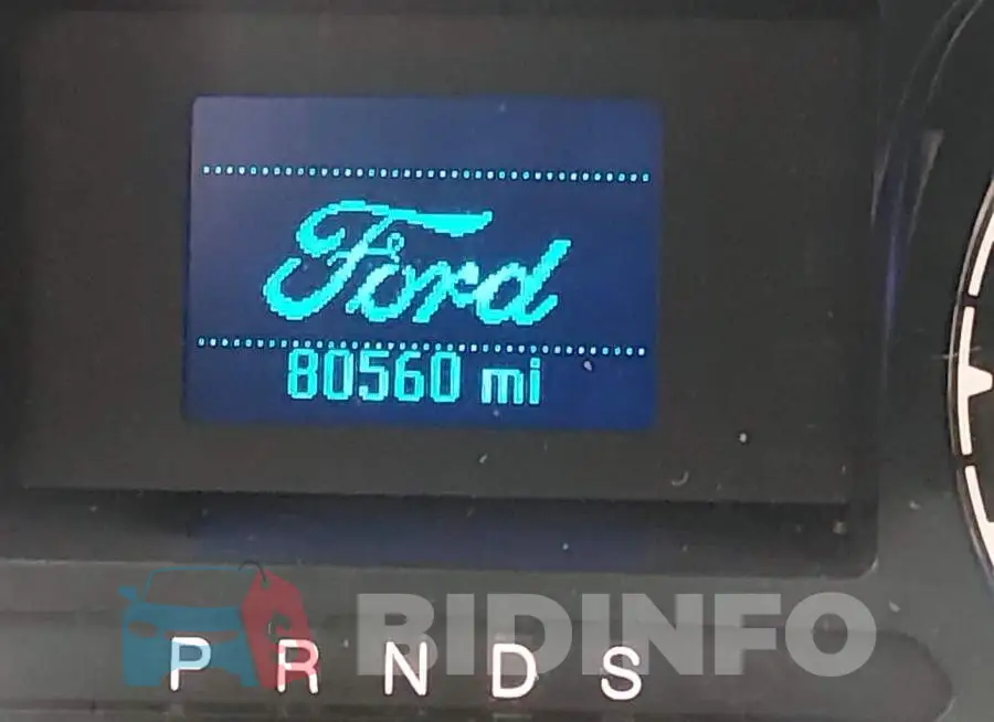 1FTER4FH7MLD89837 Photo# 16