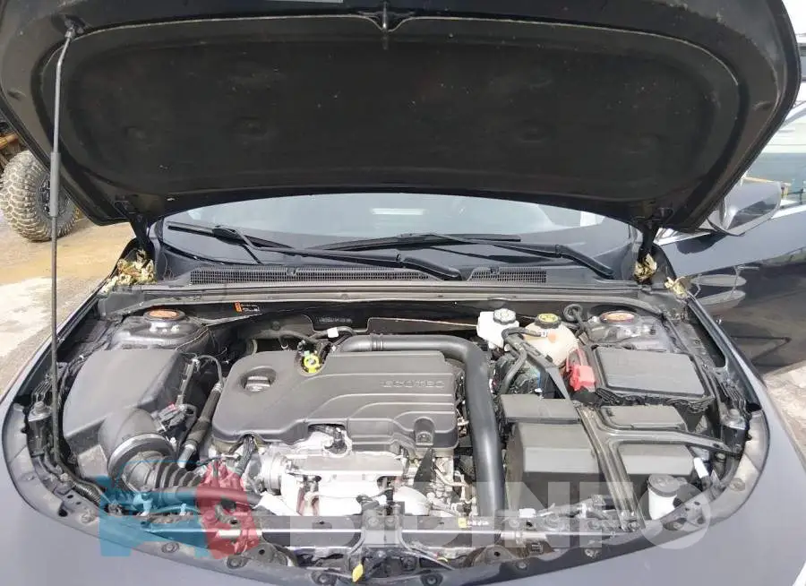 1G1ZD5ST5PF206169 Photo# 10