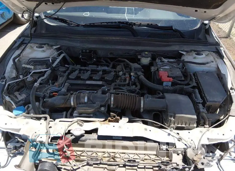 1HGCV1F14KA137431 Photo# 10