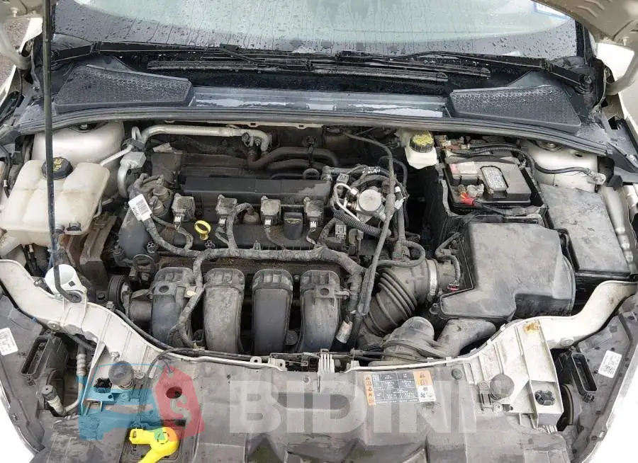 1FADP3K20HL262887 Photo# 10