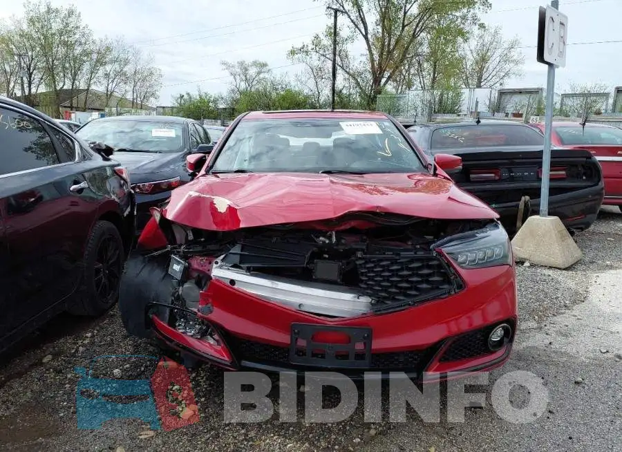 19UUB1F61KA003291 Photo# 13