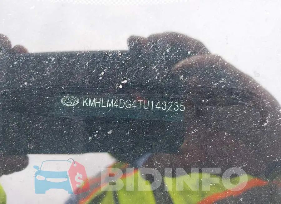 KMHLM4DG4TU143235 Photo# 12