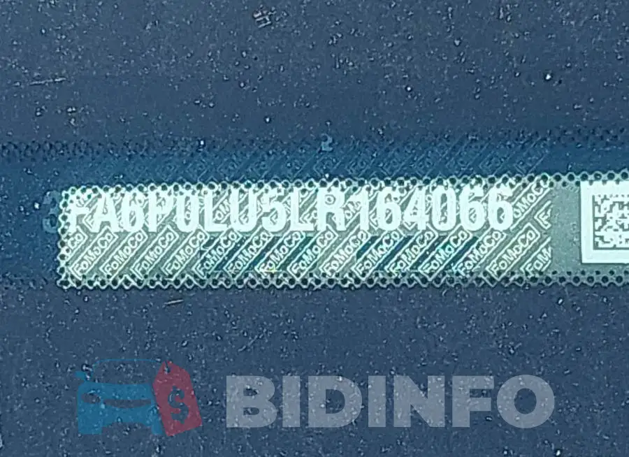3FA6P0LU5LR164066 Photo# 9
