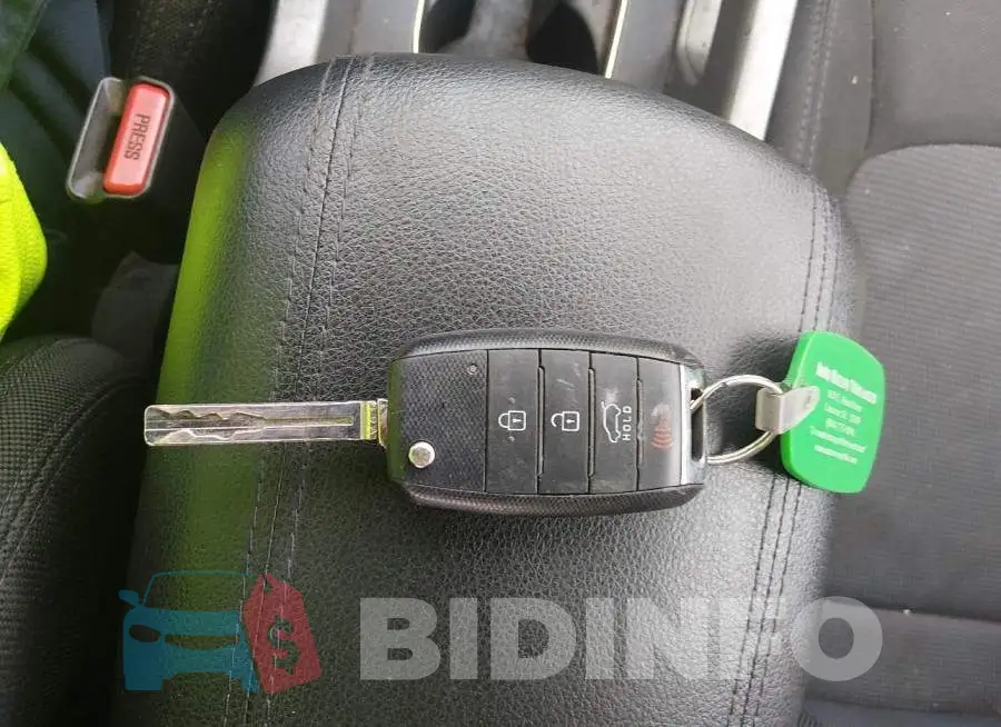 KNDPB3AC6G7838814 Photo# 11