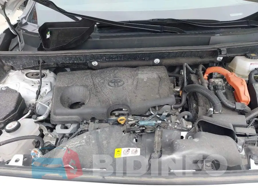 4T3E6RFV1PU110119 Photo# 10