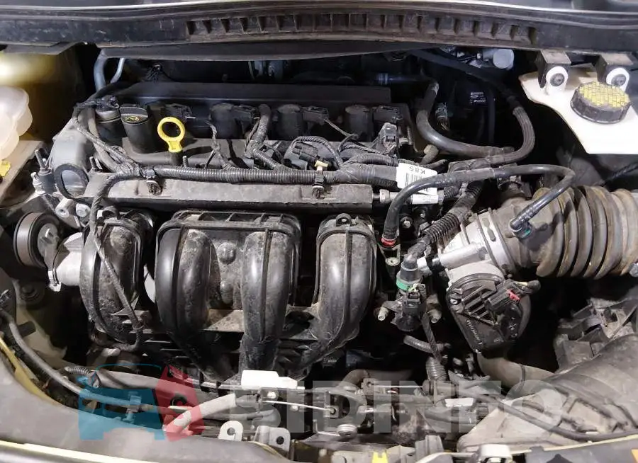 NM0AE8F74G1277437 Photo# 10