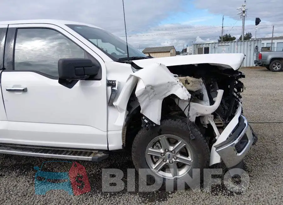 1FTFW3L84RKF66952 Photo# 19