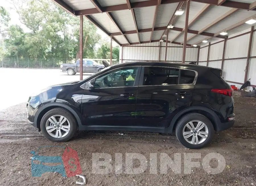 KNDPMCAC7J7331163 Photo# 14