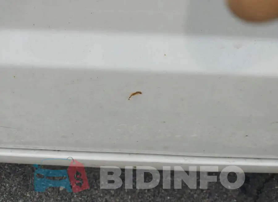 2C4RDGBG4JR273349 Photo# 13