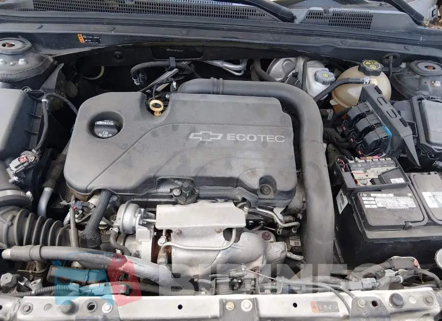 1G1ZB5ST5HF240412 Photo# 10