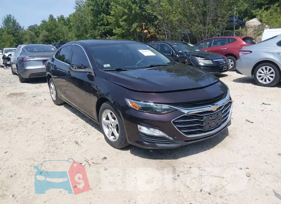 1G1ZD5ST8LF053264 Photo# 1