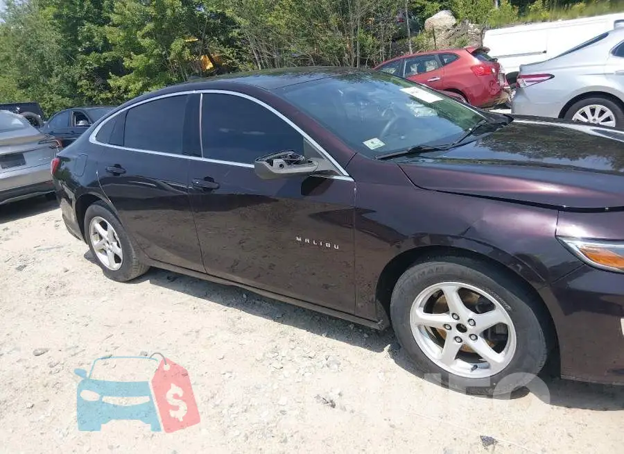 1G1ZD5ST8LF053264 Photo# 13
