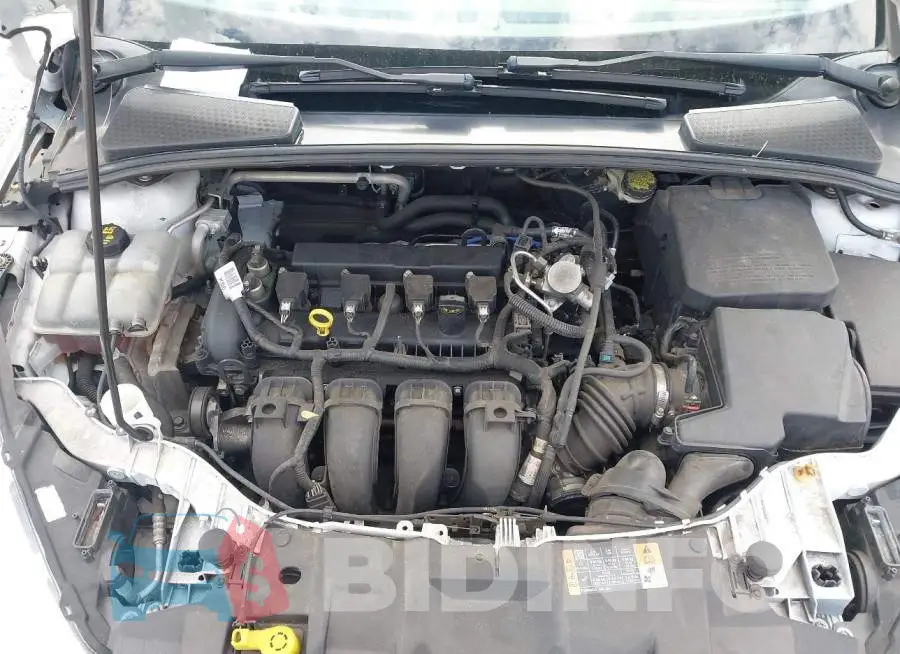 1FADP3E24GL356572 Photo# 10