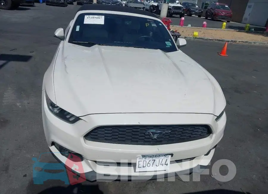 1FATP8UH9H5293764 Photo# 13