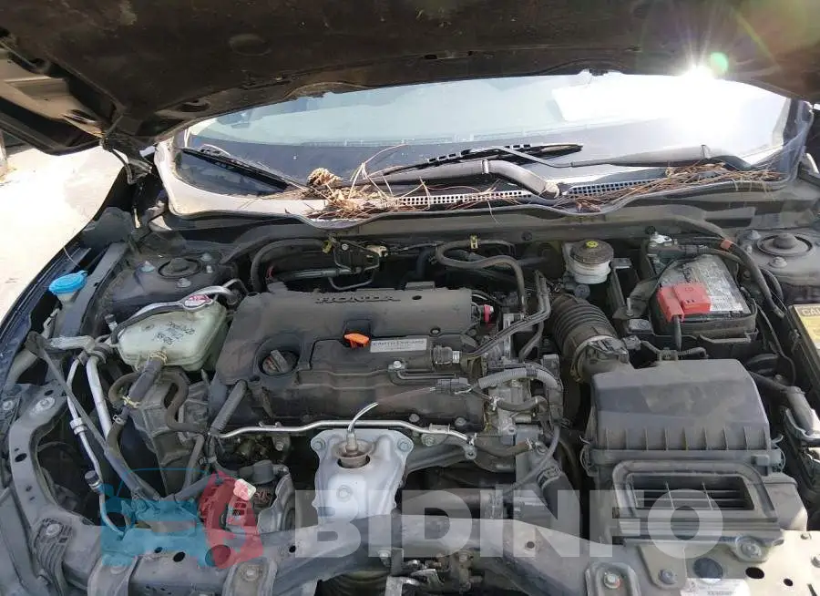 19XFC2F51HE070366 Photo# 10