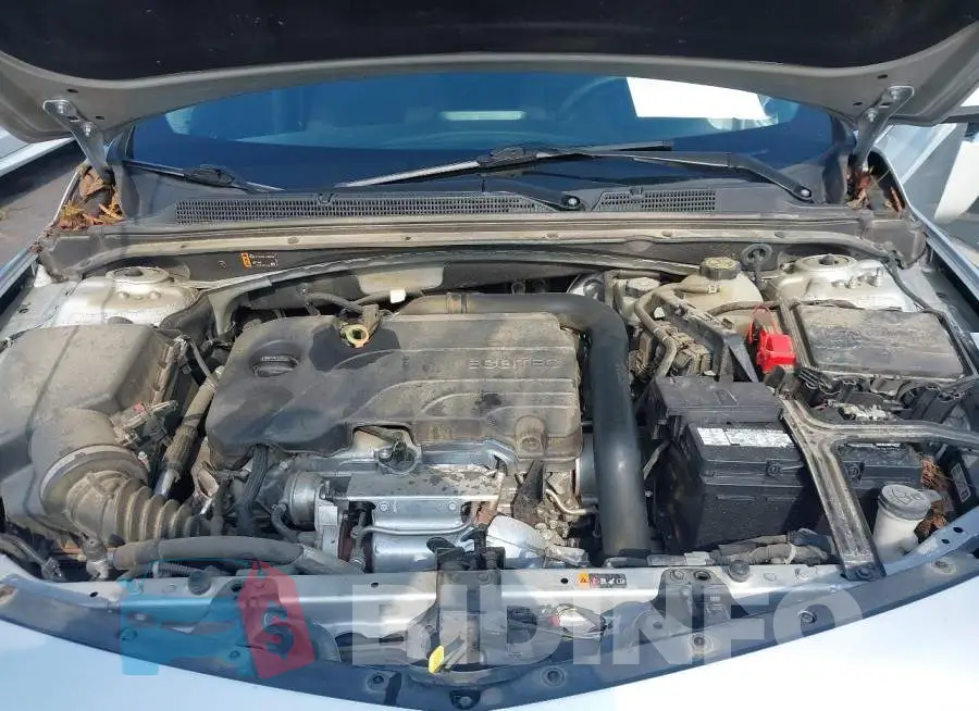 1G1ZD5ST5MF067754 Photo# 10