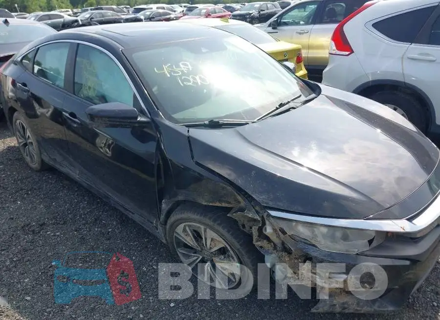 19XFC1F42HE204349 Photo# 6