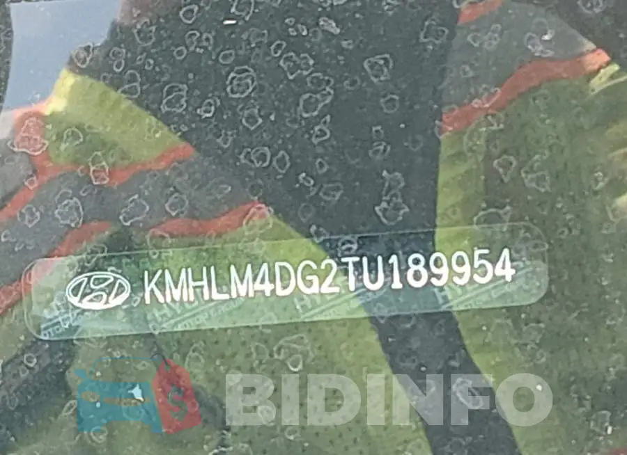 KMHLM4DG2TU189954 Photo# 9