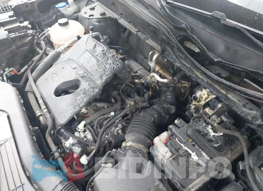 3FMCR9B60MRA17519 Photo# 6